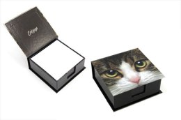 Jellycat Karteczki w pudełku kot 10.5x11