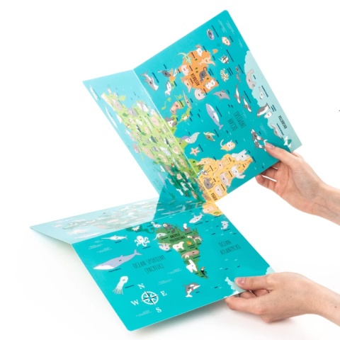 Kidea Wyklejanka gra - Gdzie one żyją? | Zwierzęta świata