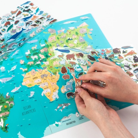 Kidea Wyklejanka gra - Gdzie one żyją? | Zwierzęta świata