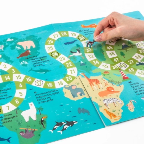 Kidea Wyklejanka gra - Gdzie one żyją? | Zwierzęta świata