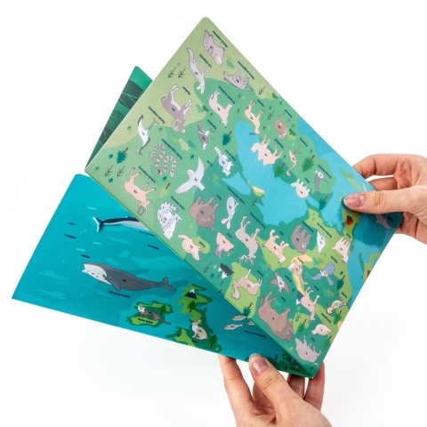 Kidea Wyklejanka gra - Gdzie oni żyją? | Zwierzęta Europy