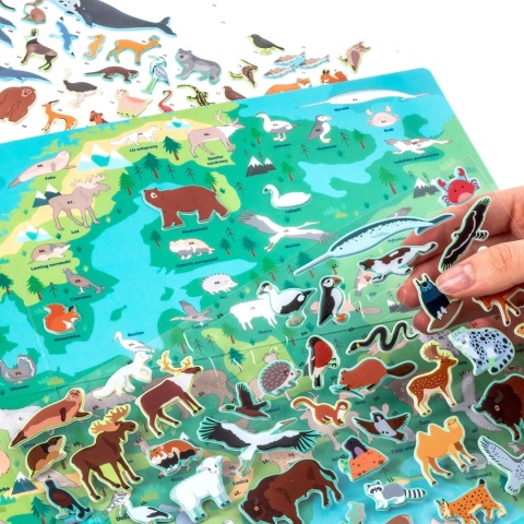 Kidea Wyklejanka gra - Gdzie oni żyją? | Zwierzęta Europy