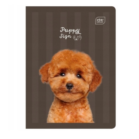 Zeszyt 1szt A5/16 kartki Trzy linie | Puppy Sign