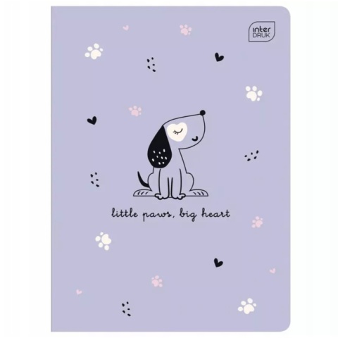 Zeszyt 1szt A5/16 kartki Trzy linie | UV Piccolo