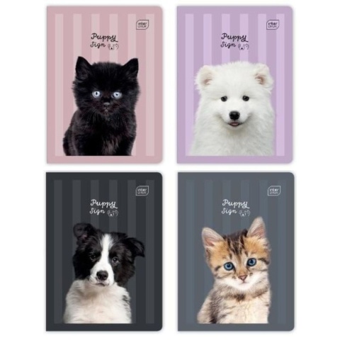 Zeszyt 1szt A5/32 kartki Trzy linie | UV Puppy Sign