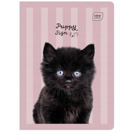 Zeszyt 1szt A5/32 kartki Trzy linie | UV Puppy Sign