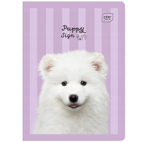 Zeszyt 1szt A5/32 kartki Trzy linie | UV Puppy Sign