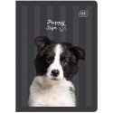 Zeszyt 1szt A5/32 kartki Trzy linie | UV Puppy Sign