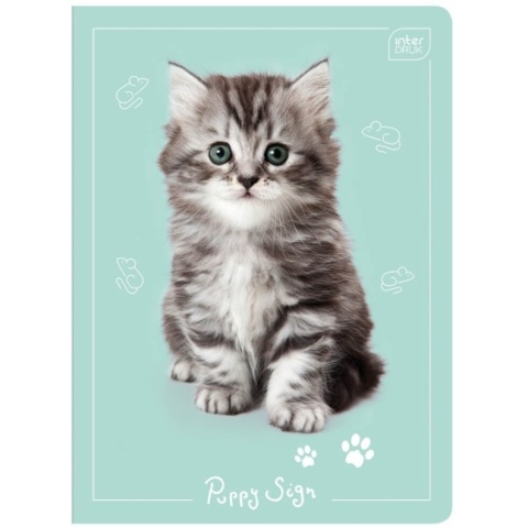 Zeszyt 1szt A5/32 kartki kratka | UV Puppy Sign