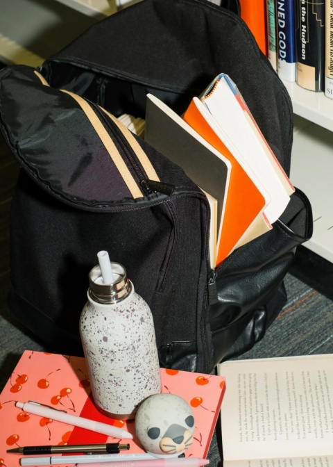 Asobu Butelka termiczna ze słomką Bestie | Foka 460 ml