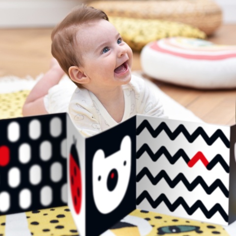 Czuczu Starter malucha. Co widzę?