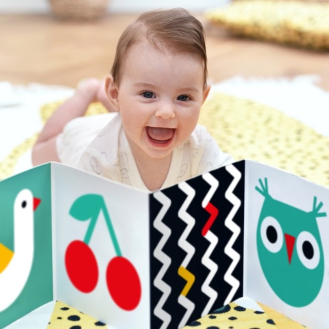 Czuczu Starter malucha. Co widzę?