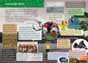 Mała encyklopedia. Piłka nożna