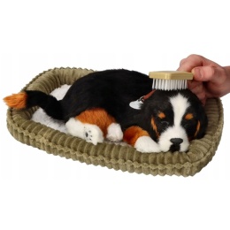 Perfect Petzzz Oddychający Szczeniaczek | Pasterski Berneńczyk