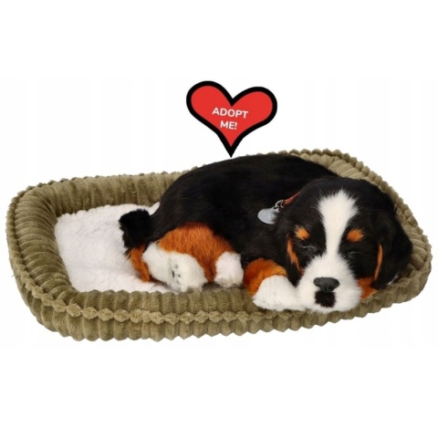 Perfect Petzzz Oddychający Szczeniaczek | Pasterski Berneńczyk