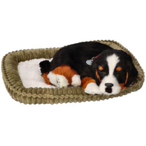 Perfect Petzzz Oddychający Szczeniaczek | Pasterski Berneńczyk