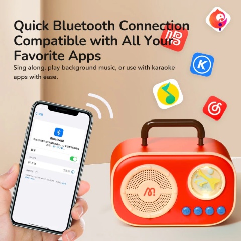 mideer Podwójny zestaw karaoke