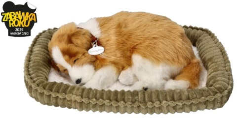 Perfect Petzzz Oddychający szczeniaczek | Owczarek szkocki Collie