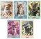 HERLITZ Zeszyt A5/32K linia Animals 1szt.