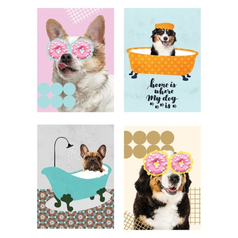 St. Majewski Zeszyt A5 Funny Dog kratka, 70g 60 kartek 1szt