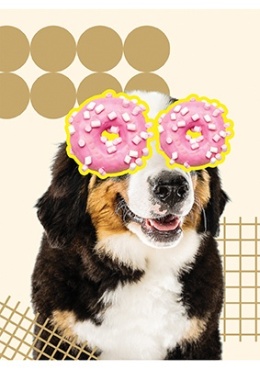 St. Majewski Zeszyt A5 Funny Dog kratka, 70g 60 kartek 1szt
