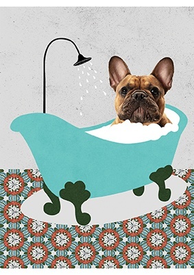 St. Majewski Zeszyt A5 Funny Dog kratka, 70g 60 kartek 1szt