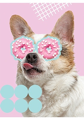 St. Majewski Zeszyt A5 Funny Dog kratka, 70g 60 kartek 1szt