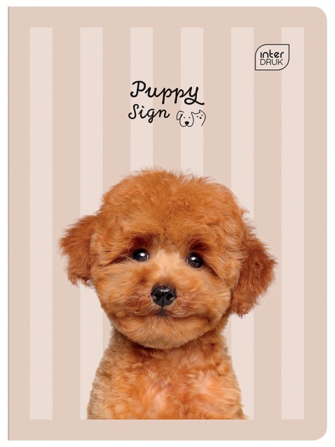 Zeszyt 1szt A5/32 kartki kratka | UV Puppy Sign