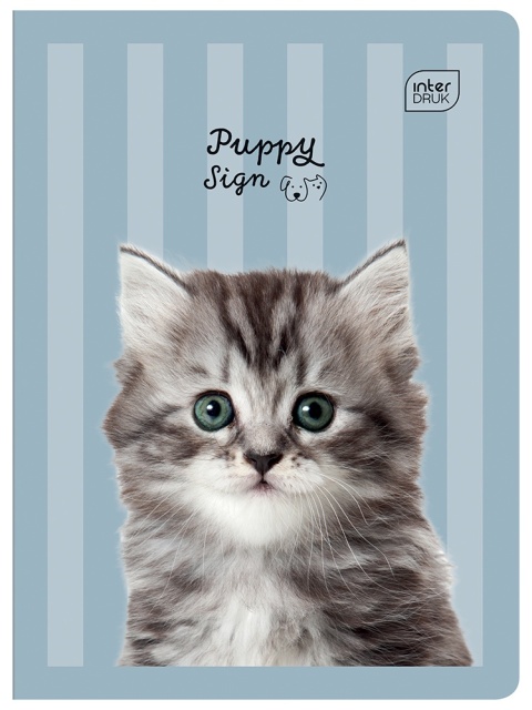 Zeszyt 1szt A5/32 kartki kratka | UV Puppy Sign