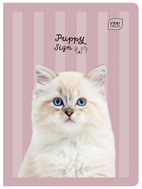 Zeszyt 1szt A5/32 kartki kratka | UV Puppy Sign