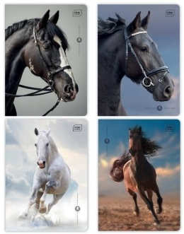 Zeszyt A5 kratka 32 kartki 1szt. | Konie - Wild Horses UV