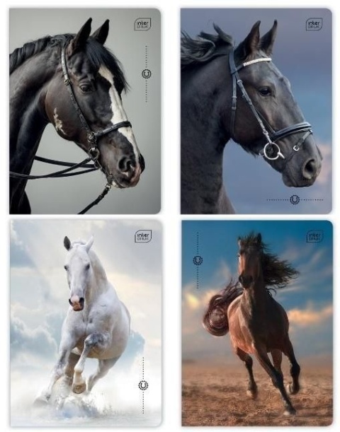 Zeszyt A5 kratka 32 kartki 1szt. | Konie - Wild Horses UV
