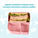 b.box Silikonowy wkład do lunchboxa z dodatkowymi przegródkami | Forest